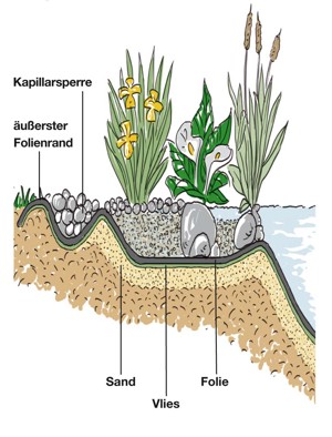 Glück ist Grün Detailansicht Allgemeines Gartenteich Bau