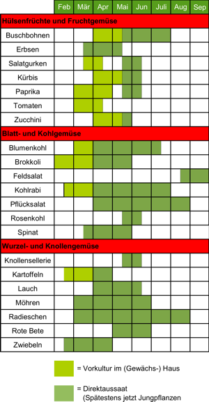 Glück ist Grün Detailansicht Gemüse Gemüsekalender Aussaat